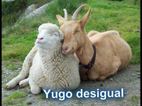 La batalla por su alma. ¿Está usted unida en yugo desigual?