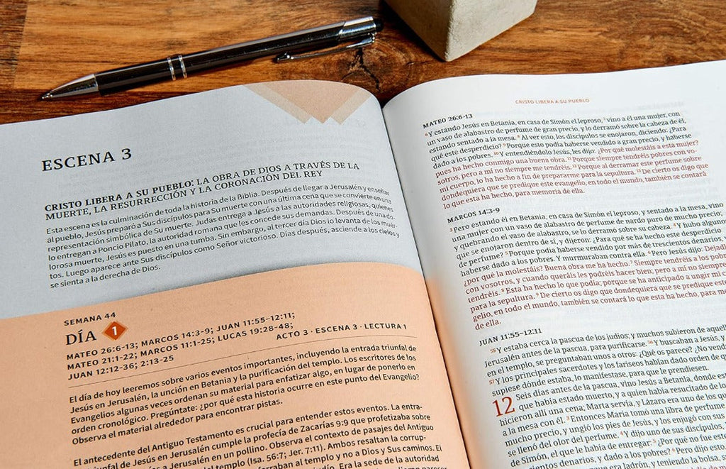 Biblia cronologica, leela en 365 dias 2025