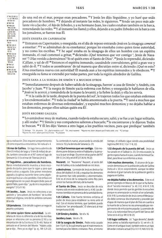 La Biblia de Estudio de La Reforma - piel genuina