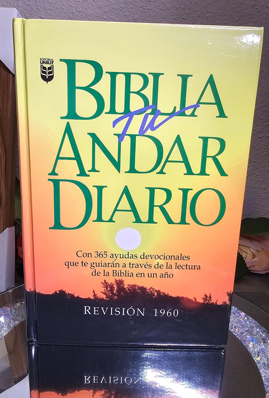 Biblia Tu Andar Diario - 365 dias con estudio devocional