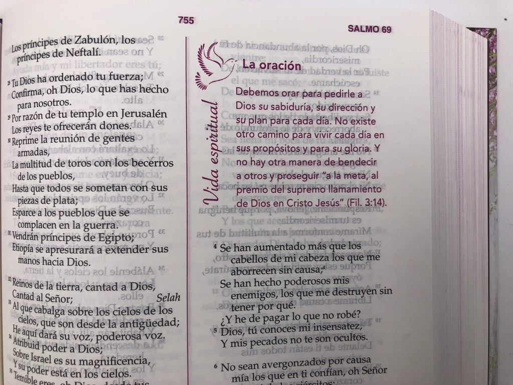 Biblia de la mujer conforme al corazón de Dios