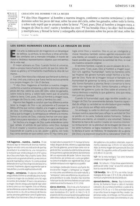 La Biblia de Estudio de La Reforma - piel genuina