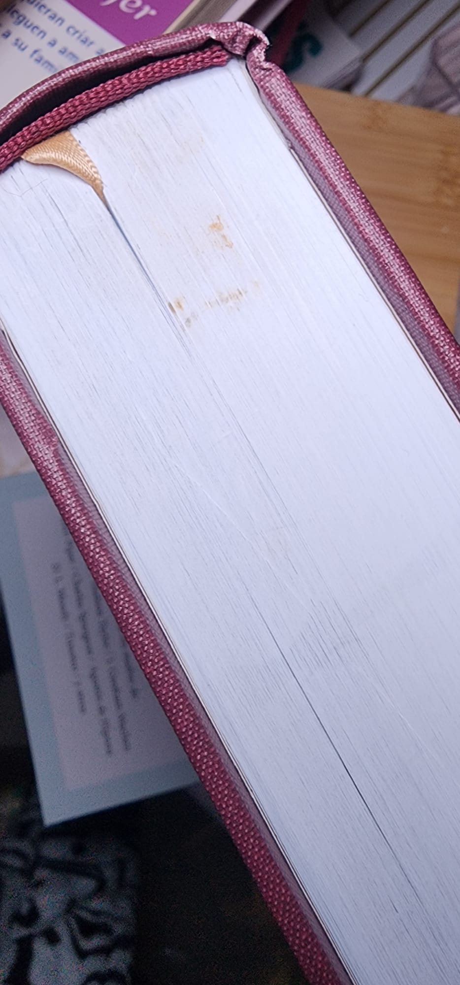 NVI Biblia del lector, vino en tela