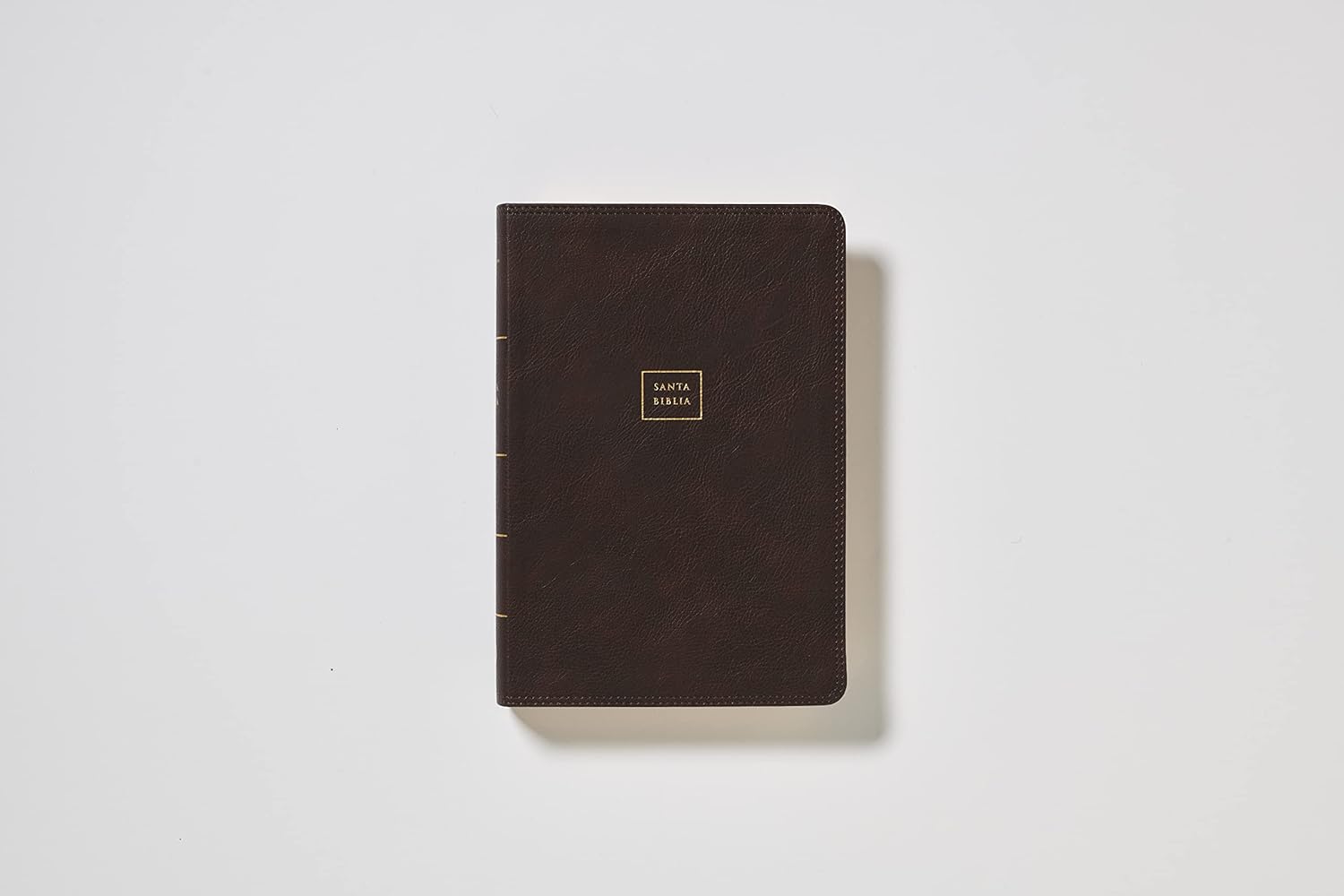 RVR60, Biblia del Ministro, Letra gigante