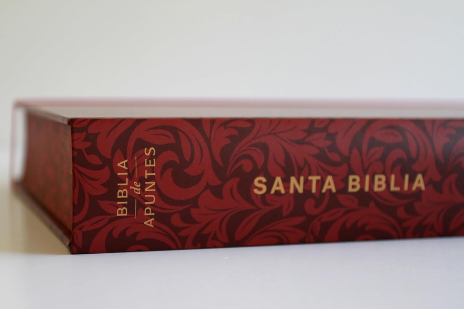 Biblia de Apuntes RVR 1960 Tapa dura, Vino tinto (Edición cantos pintados)