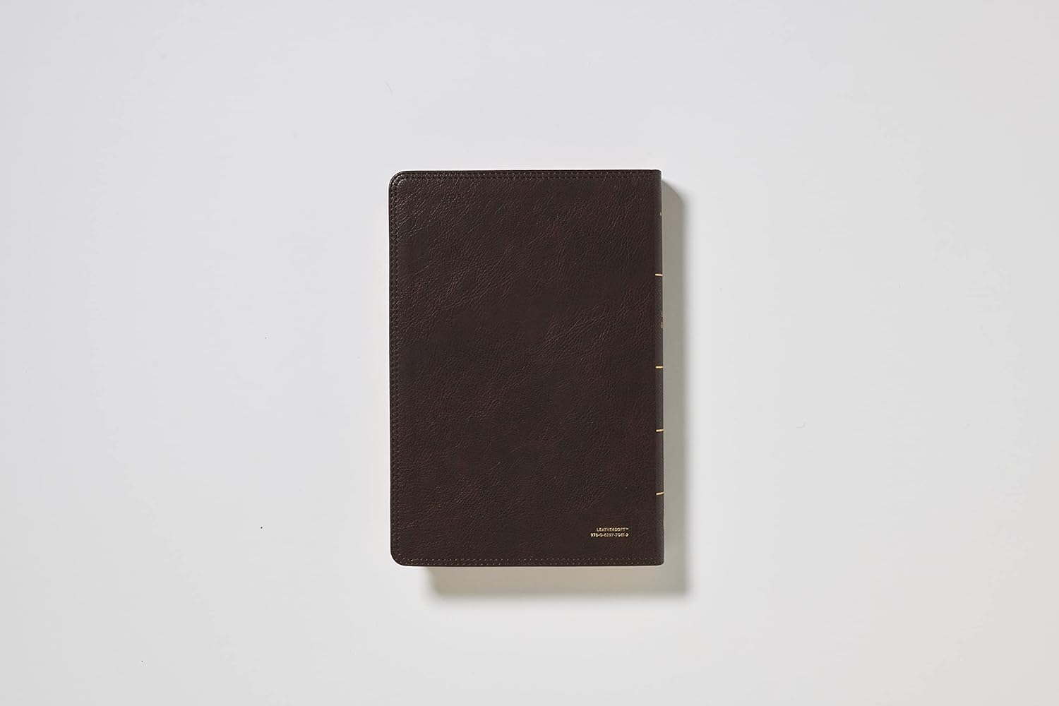 RVR60, Biblia del Ministro, Letra gigante