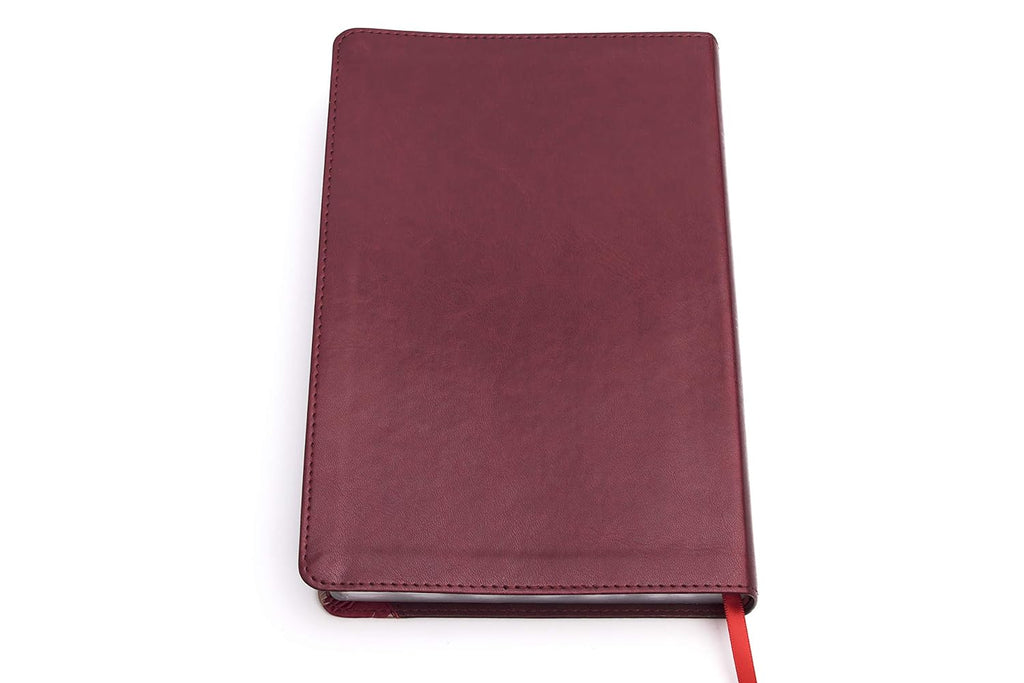 Hermosa Biblia Reina Valera 1960 de Estudio para mujeres