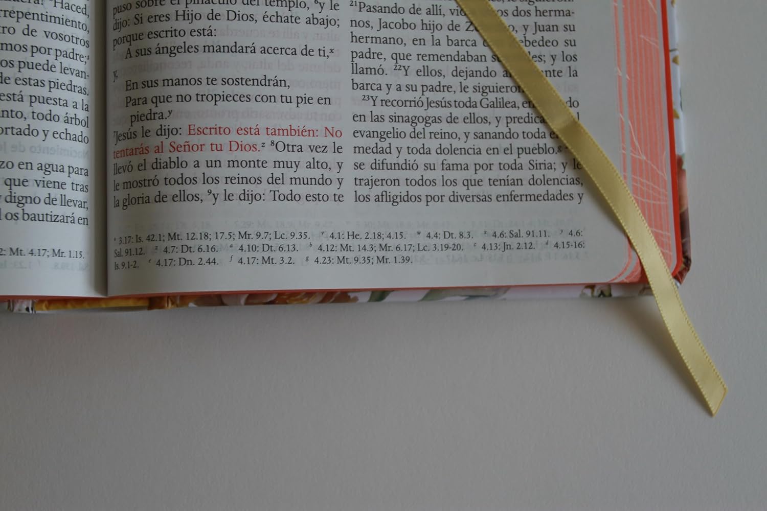 Biblia letra grande flores rosadas y cantos pintados