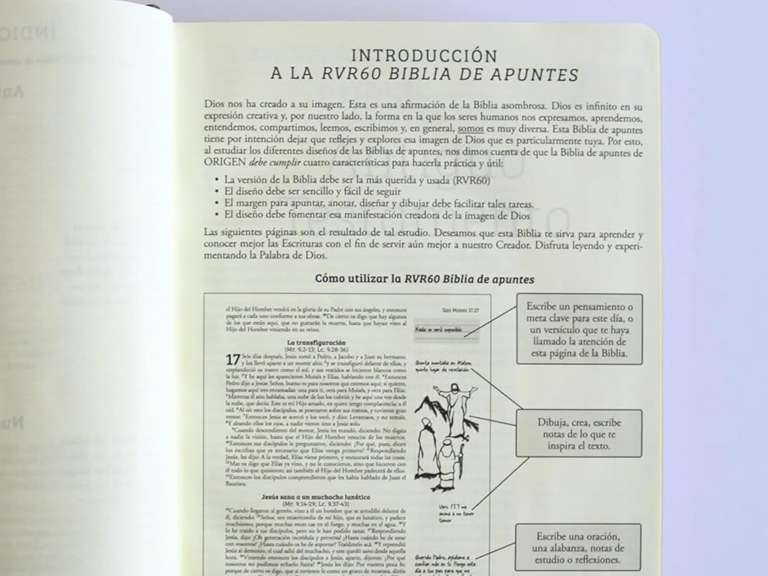 Biblia de Apuntes RVR 1960 Tapa dura, Vino tinto (Edición cantos pintados)