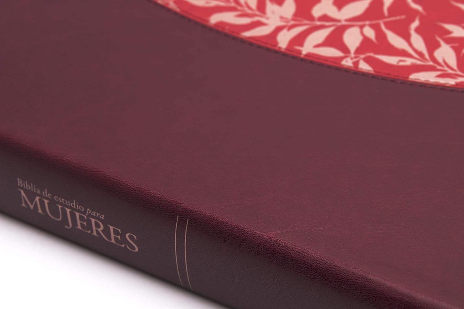 Hermosa Biblia Reina Valera 1960 de Estudio para mujeres