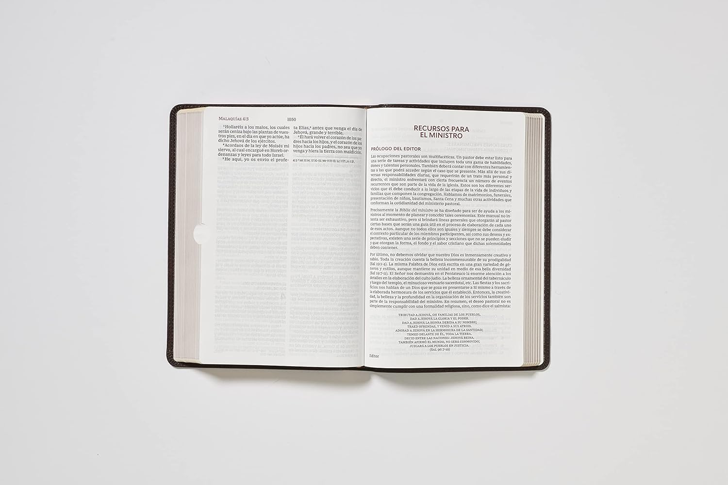 Reina Valera 1960 Santa Biblia del Ministro, Letra Gigante, Leathersoft, Café, Interior a dos colores