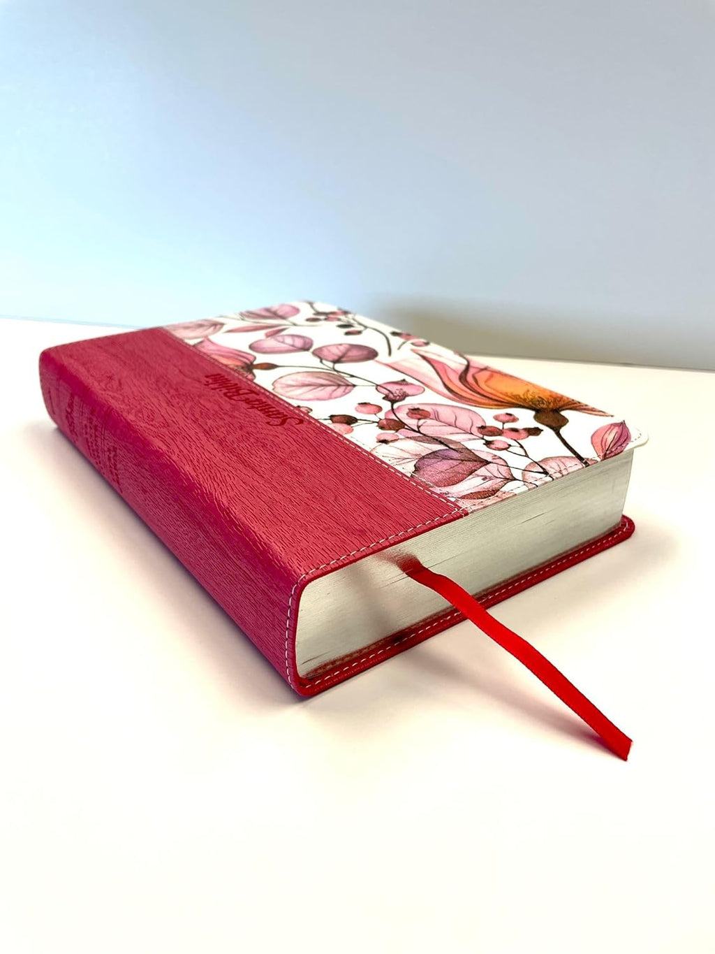 Santa Biblia NTV, Edición personal, letra grande