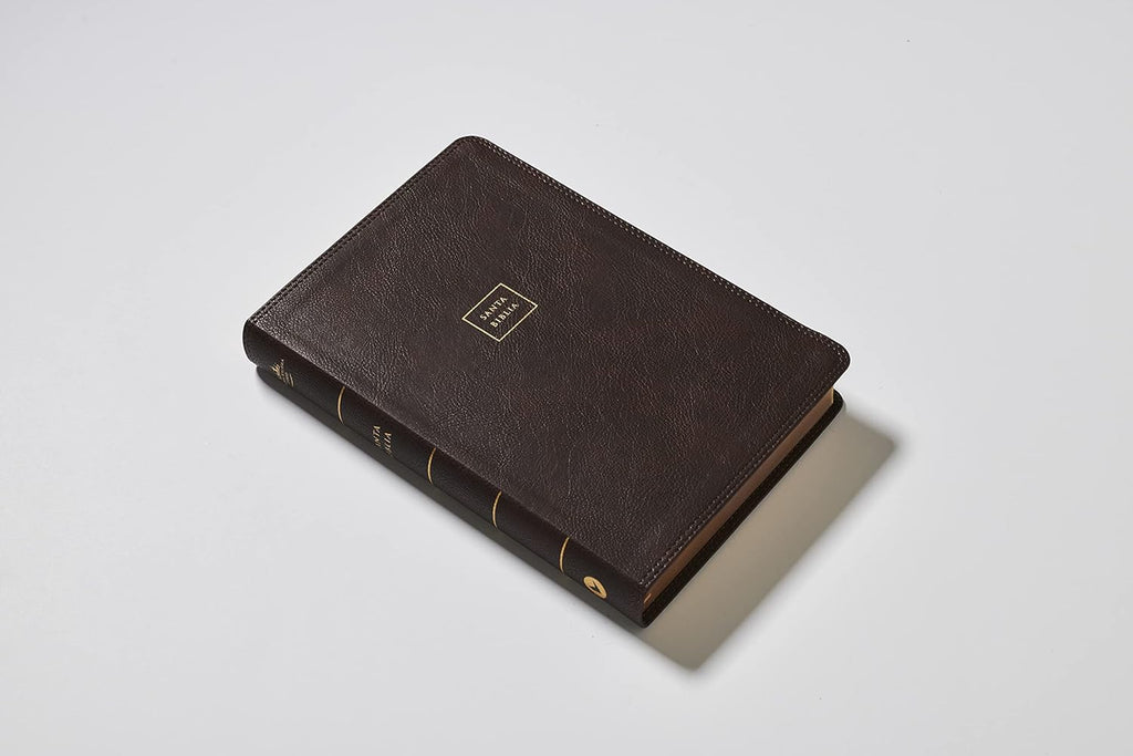 RVR60, Biblia del Ministro, Letra gigante