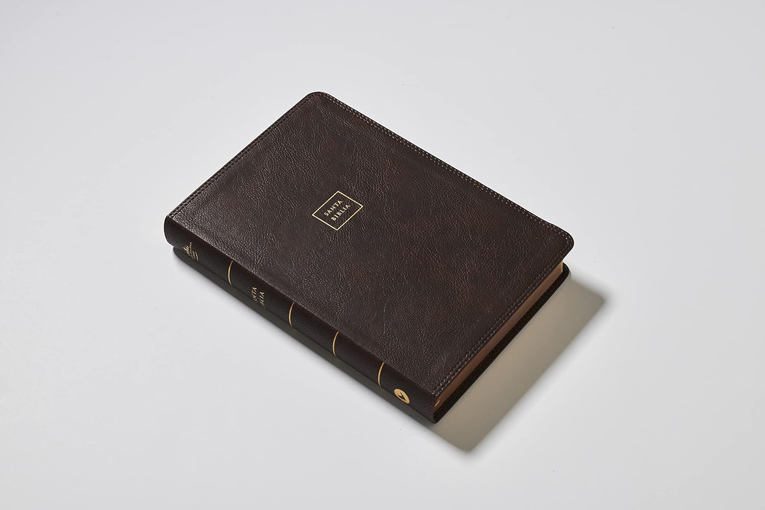 RVR60, Biblia del Ministro, Letra gigante