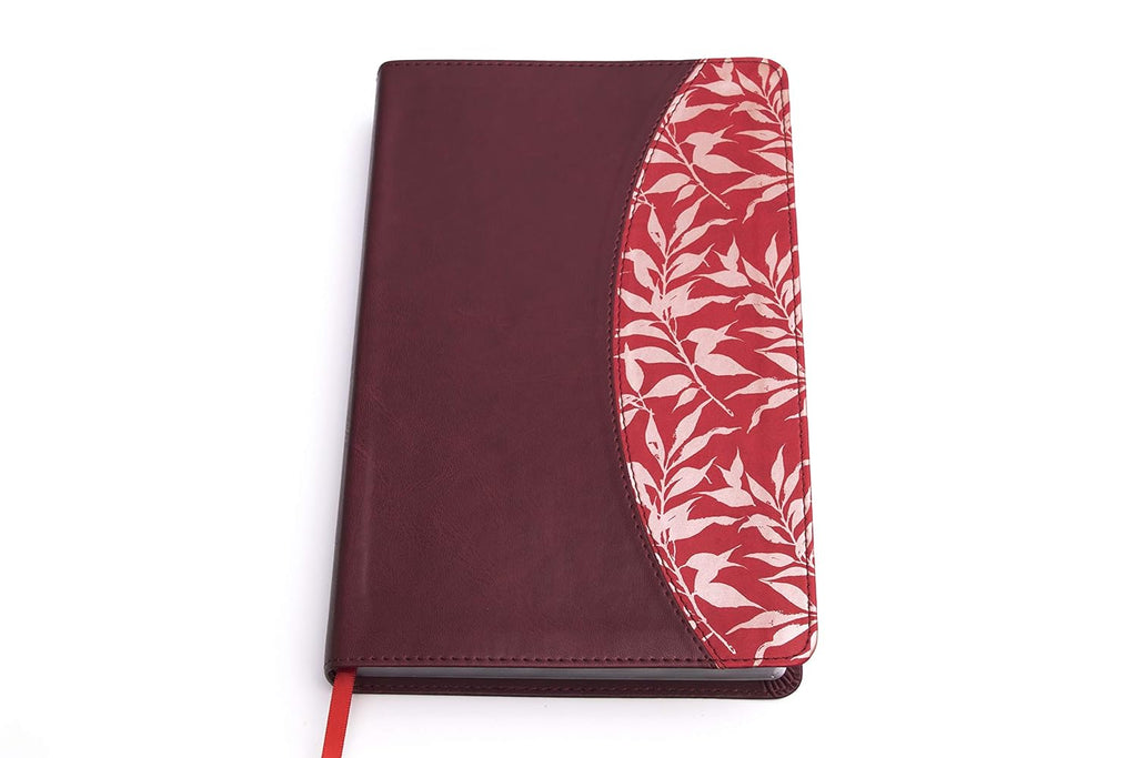 Hermosa Biblia Reina Valera 1960 de Estudio para mujeres