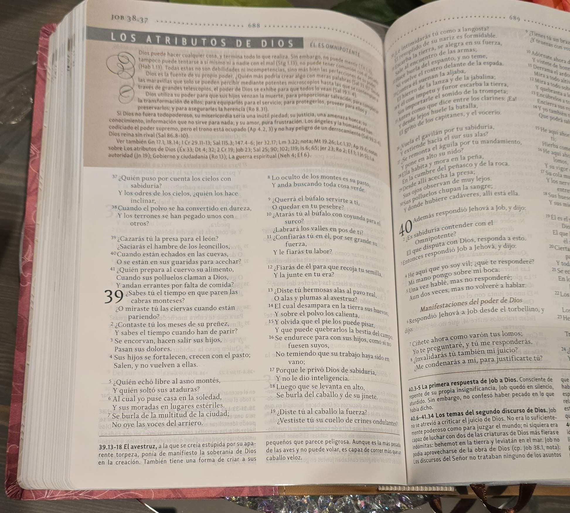 RVR60, Biblia de Estudio para la Mujer, Leathersoft, Rosado floral