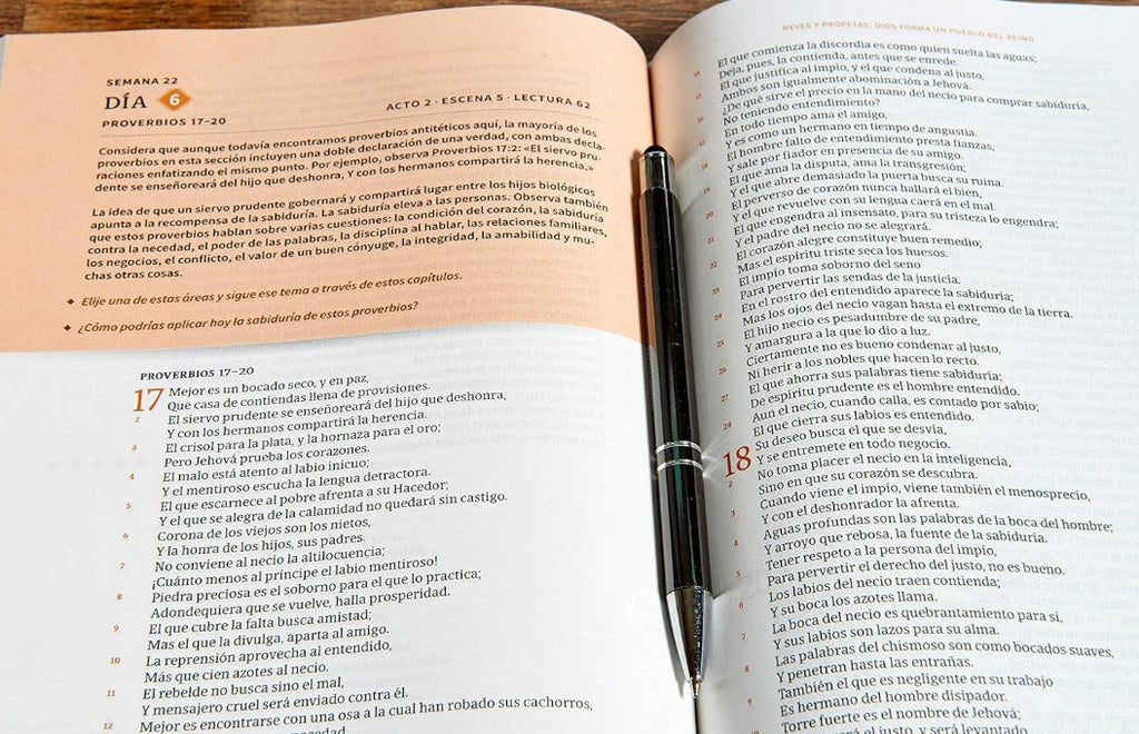 Biblia cronologica, leela en 365 dias 2025