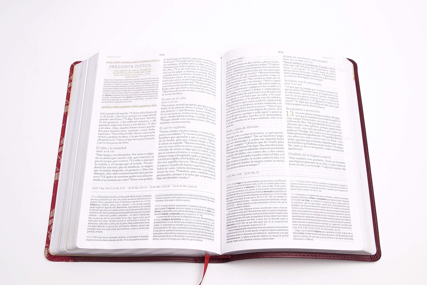 Hermosa Biblia Reina Valera 1960 de Estudio para mujeres