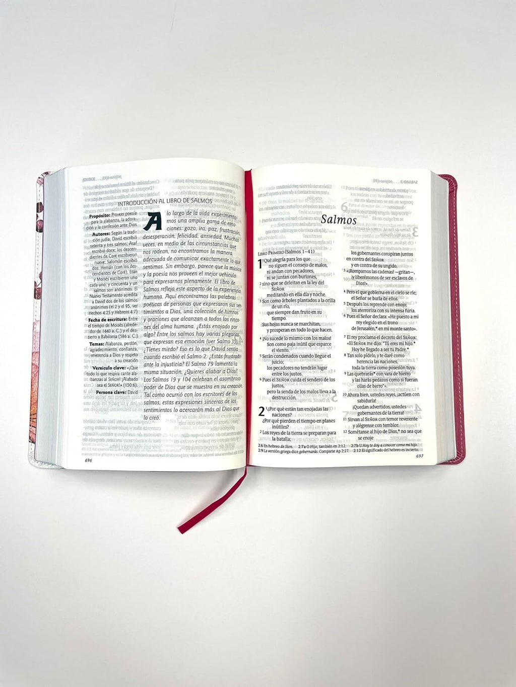 Santa Biblia NTV, Edición personal, letra grande