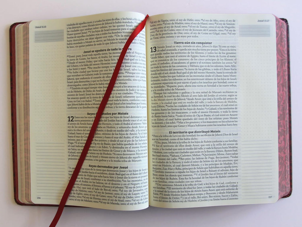 Biblia de Apuntes RVR 1960 Tapa dura, Vino tinto (Edición cantos pintados)