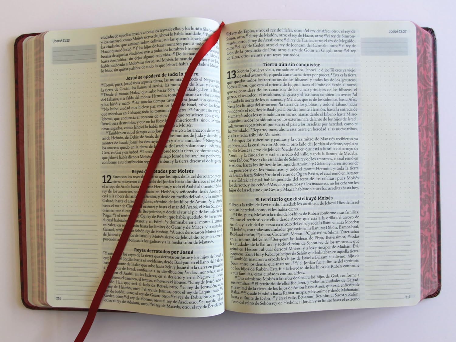 Biblia de Apuntes RVR 1960 Tapa dura, Vino tinto (Edición cantos pintados)