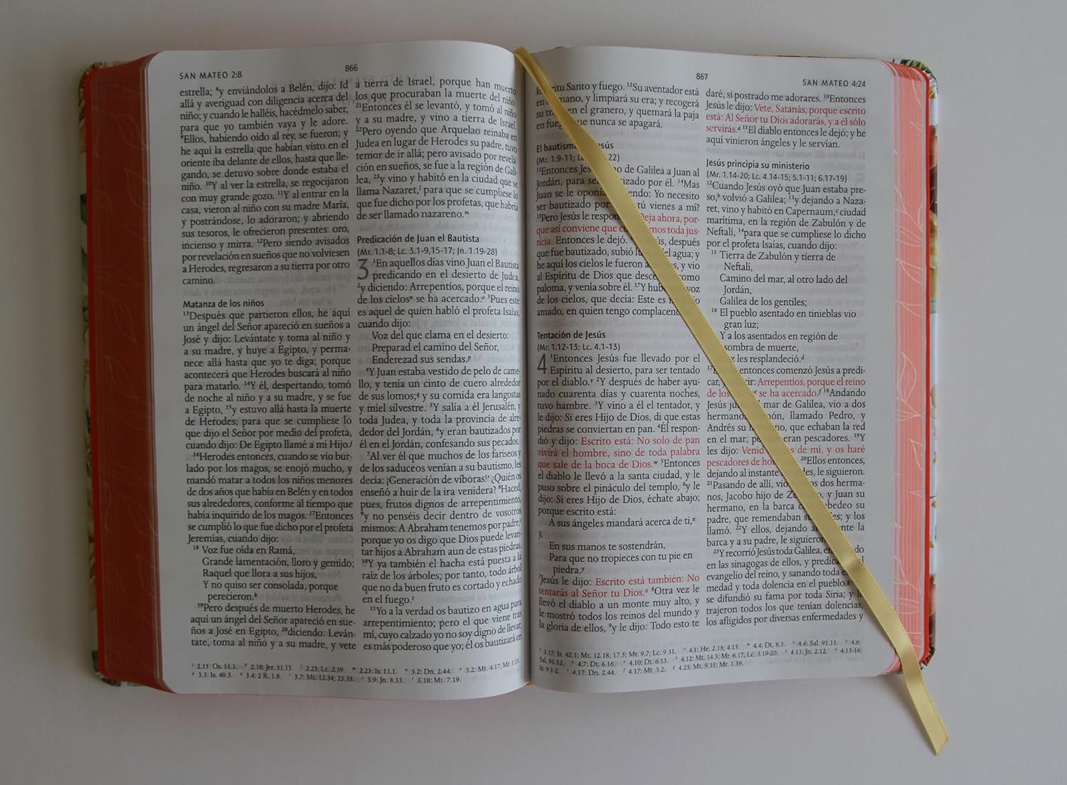 Biblia letra grande flores rosadas y cantos pintados