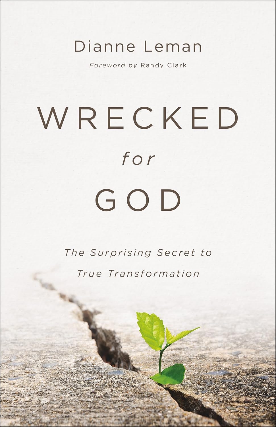Wrecked for God: The Surprising Secret to True Transformation