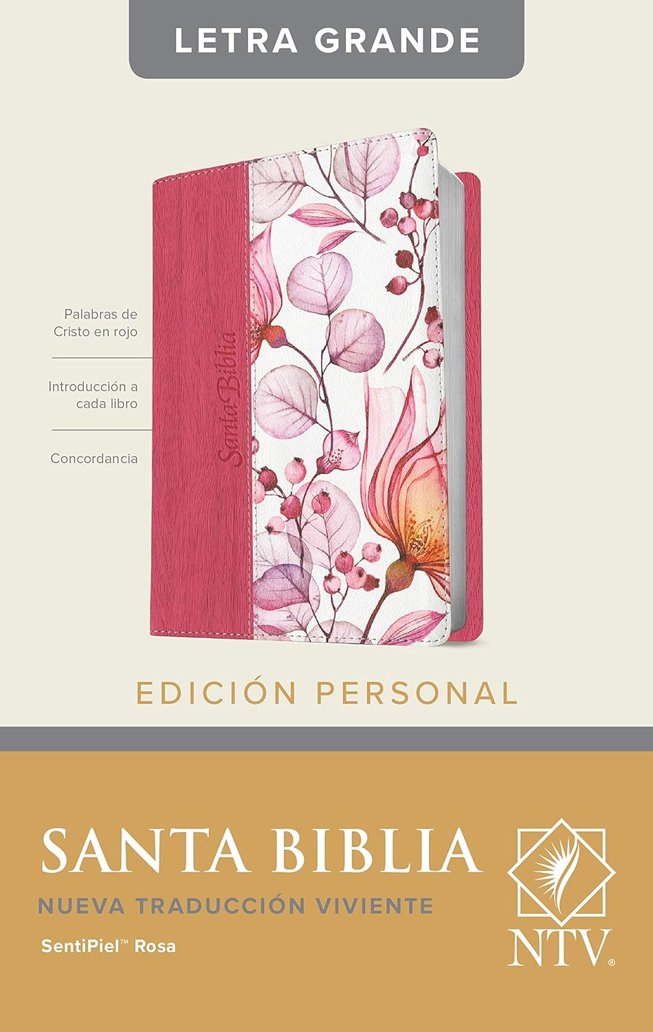 Santa Biblia NTV, Edición personal, letra grande