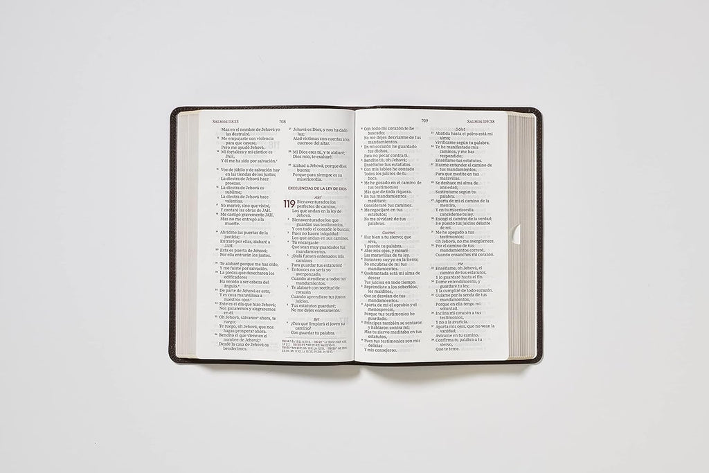 Reina Valera 1960 Santa Biblia del Ministro, Letra Gigante, Leathersoft, Café, Interior a dos colores