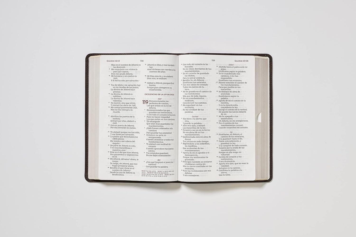 Reina Valera 1960 Santa Biblia del Ministro, Letra Gigante, Leathersoft, Café, Interior a dos colores