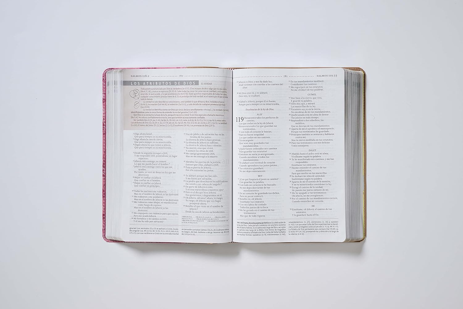 RVR60, Biblia de Estudio para la Mujer, Leathersoft, Rosado floral