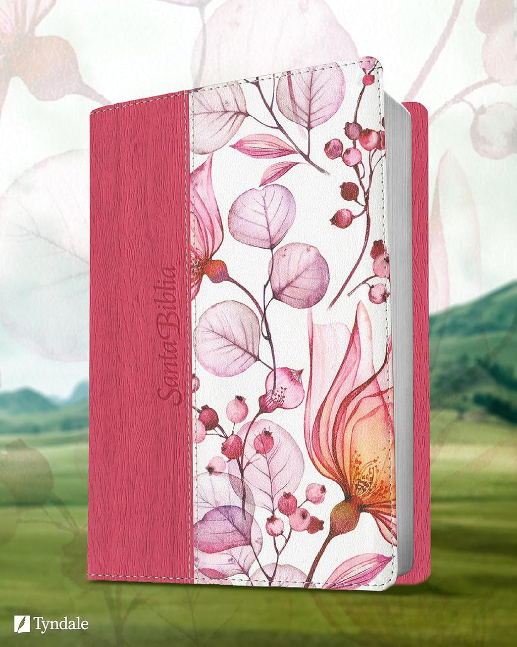 Santa Biblia NTV, Edición personal, letra grande