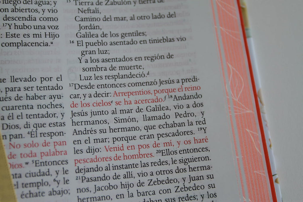 Biblia letra grande flores rosadas y cantos pintados