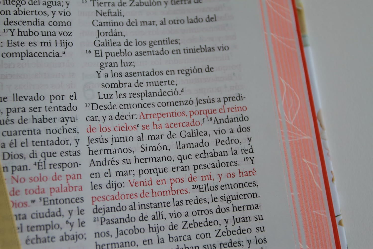 Biblia letra grande flores rosadas y cantos pintados