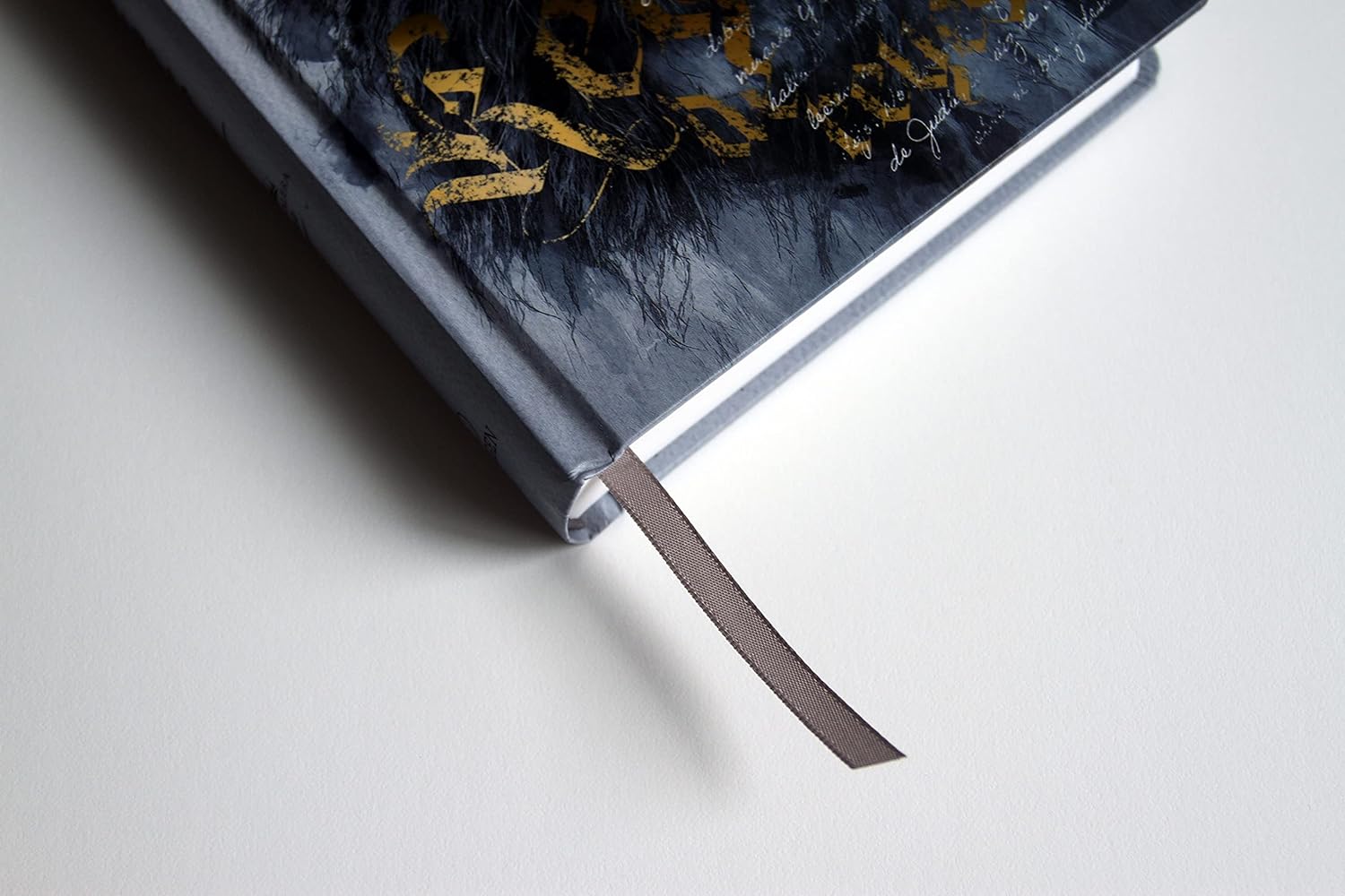 Biblia RVR60 letra grande tamaño manual, tapa dura León Rey de Reyes