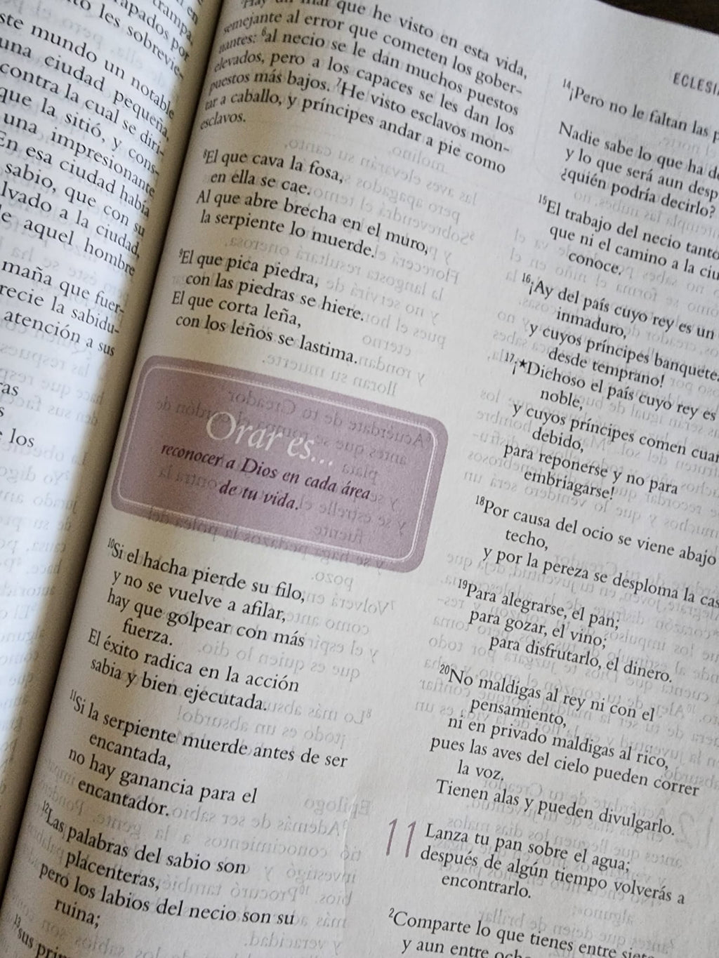 Biblia el Poder de Una Mujer Que Ora - tapa blanda - USADA