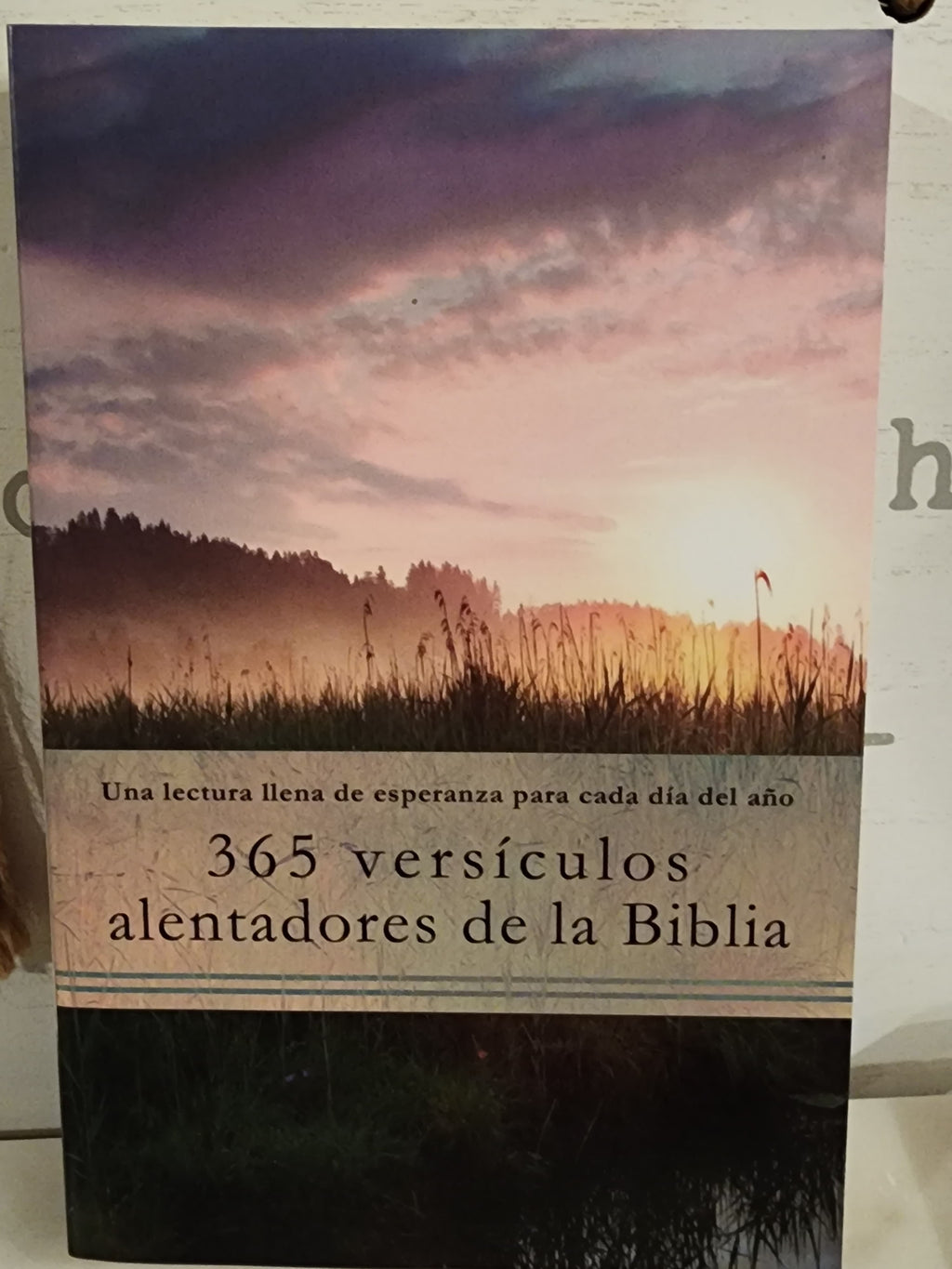 365 versículos alentadores de la Biblia