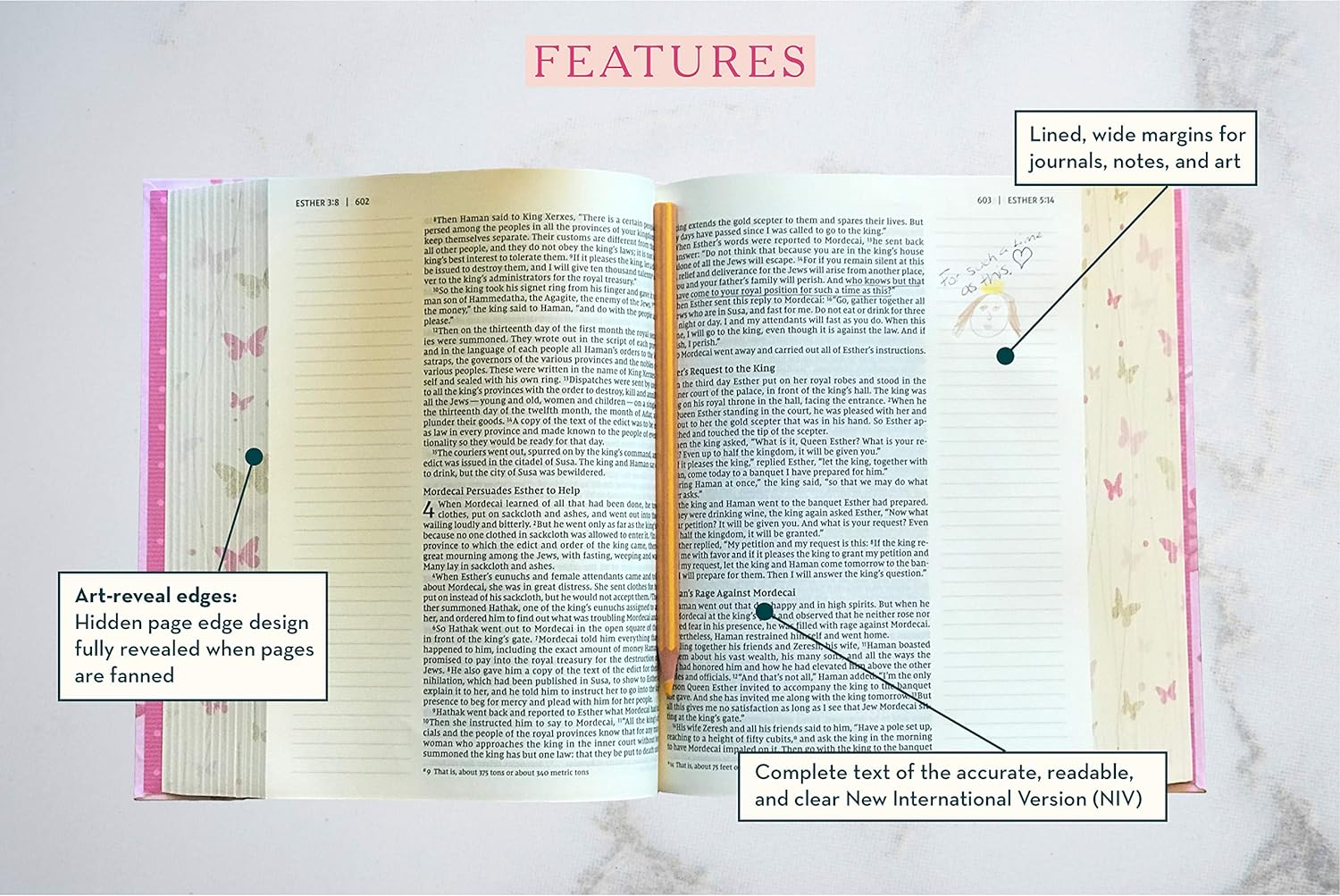 NIV, Artisan Collection Bible for Girls, Cloth over Board, Pink Daisies, Designed Edges under Gilding, Red Letter, Comfort Print