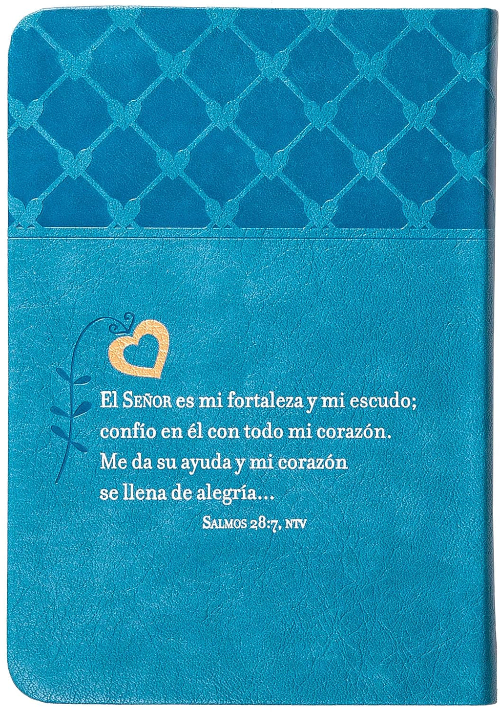 Oraciones y promesas para las madres (Spanish Edition)