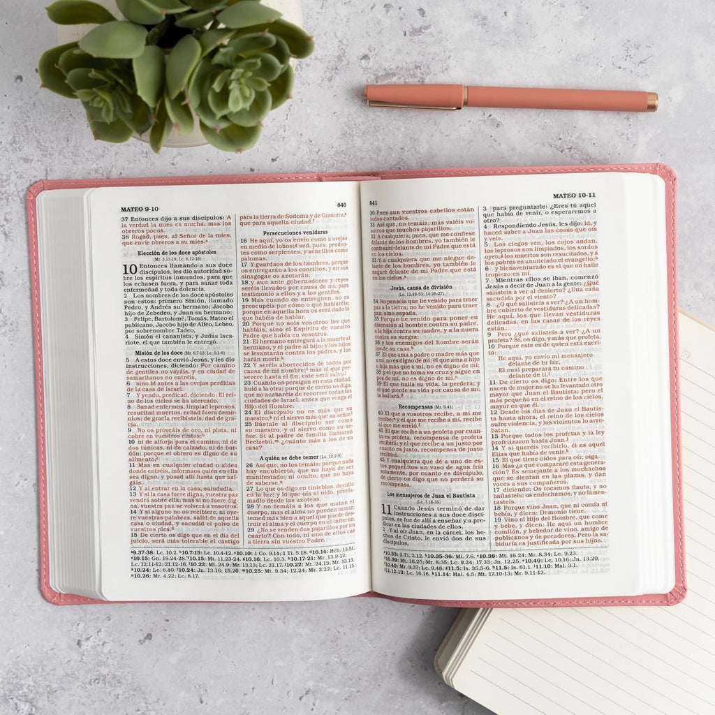 Biblia Reina Valera 1960 para Regalos