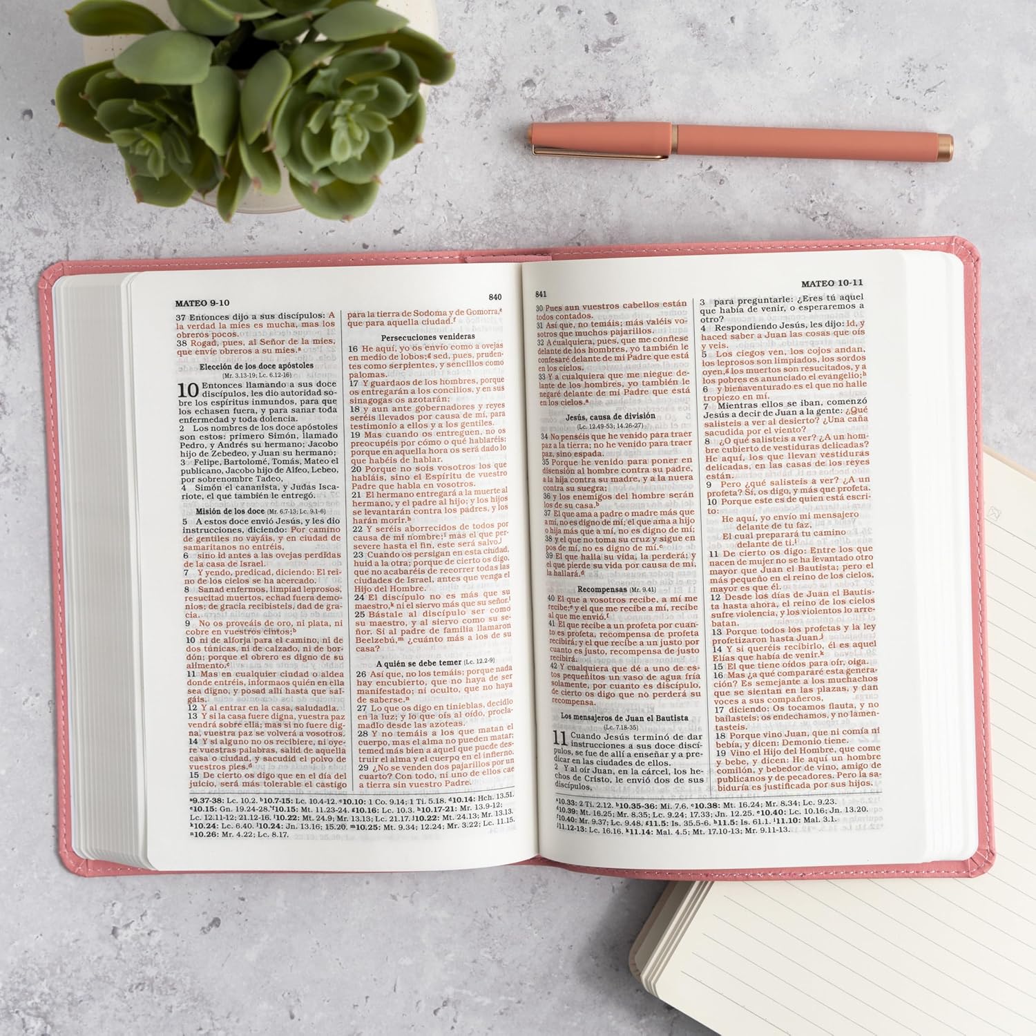 Biblia Reina Valera 1960 para Regalos