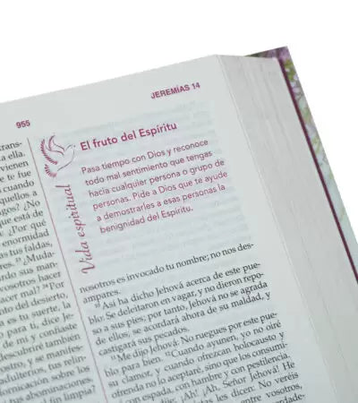 Biblia de la mujer conforme al corazón de Dios