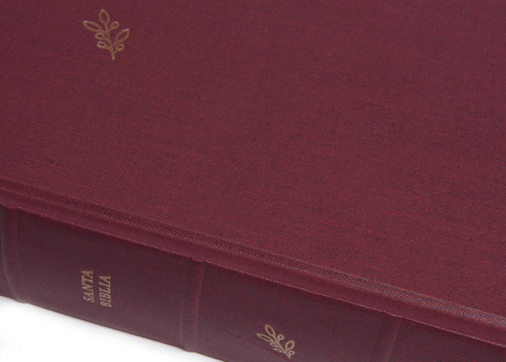 NVI Biblia del lector, vino en tela