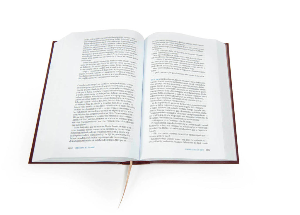 NVI Biblia del lector, vino en tela