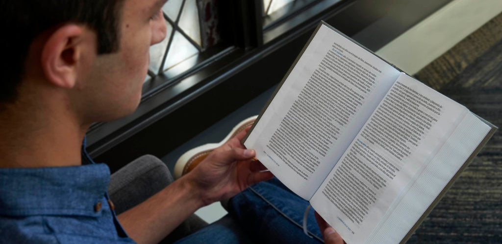 NVI Biblia del lector, vino en tela