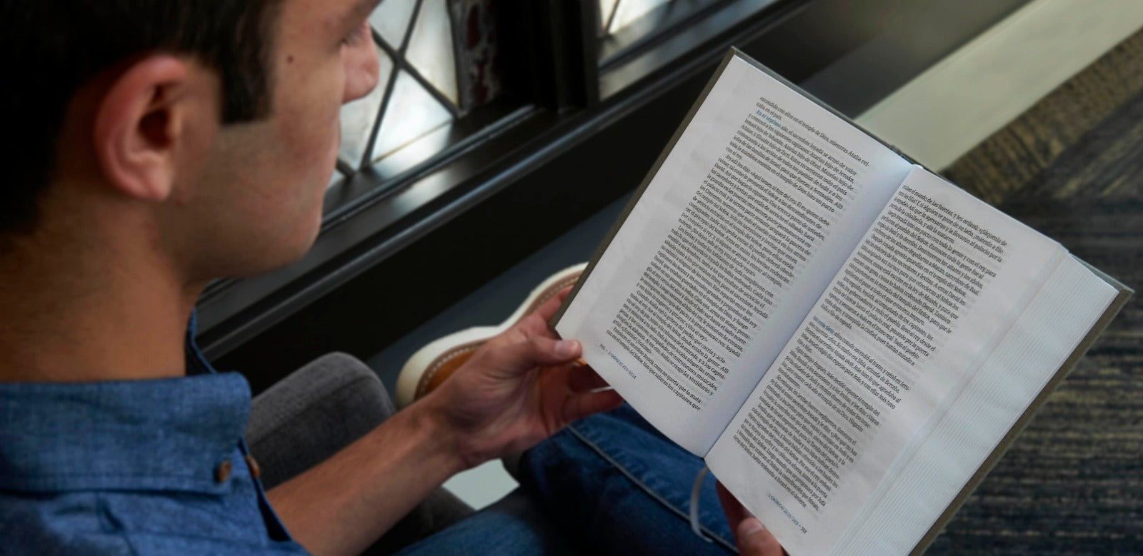 NVI Biblia del lector, vino en tela