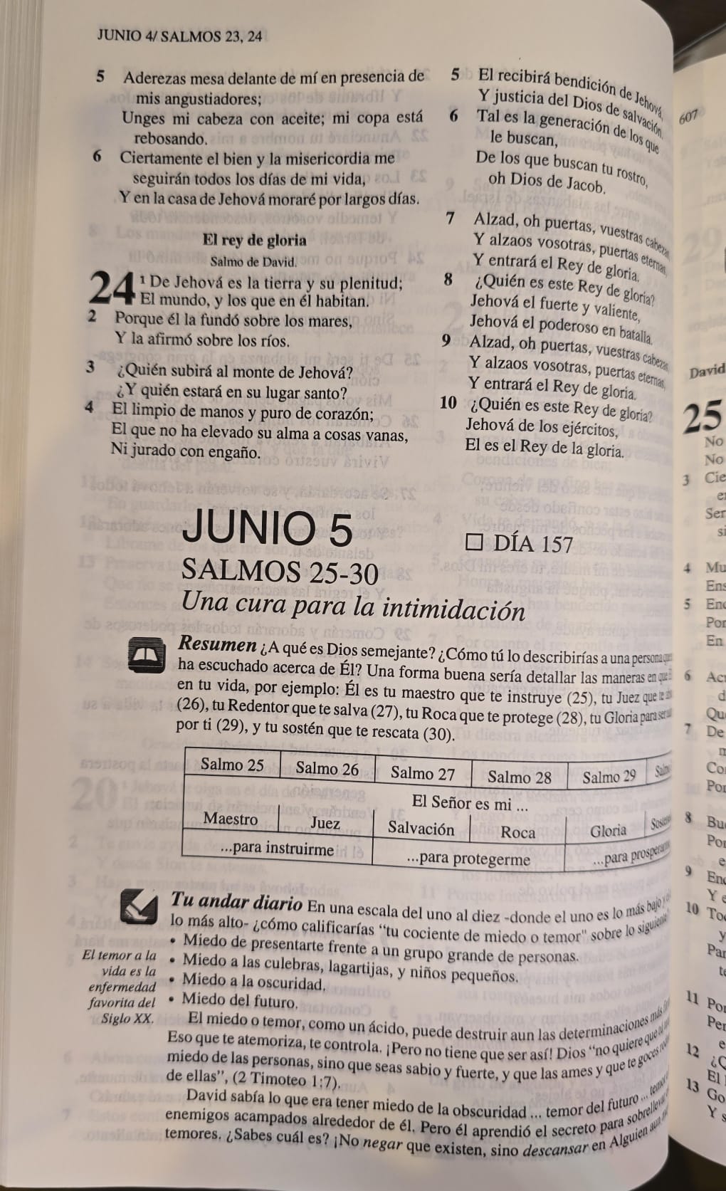 Biblia Tu Andar Diario - 365 dias con estudio devocional