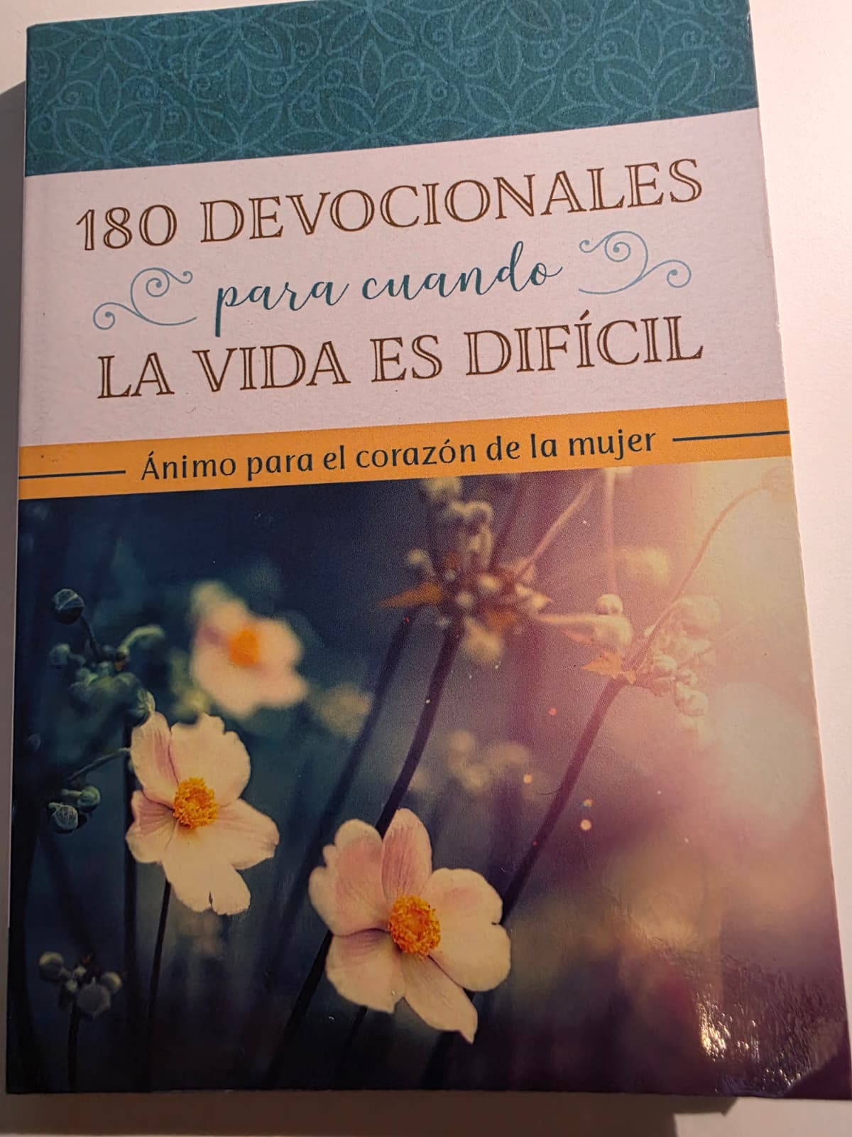 Está bien no estar bien: Avanza un día a la vez