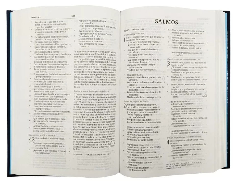 Biblia Reina Valera 1960 compacta Azul Bordado Sobre Tela