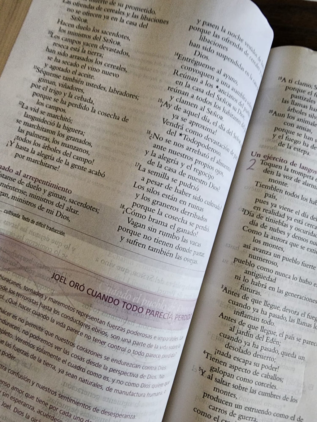 Biblia el Poder de Una Mujer Que Ora - tapa blanda - USADA